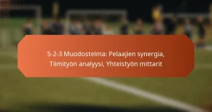 featured-image-5-2-3-muodostelma-pelaajien-synergia-tiimityon-analyysi-yhteistyon-mittarit